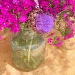 Hotell Alacati Barbarossa Çeşme