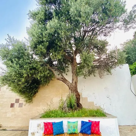 Hotel Alacati Barbarossa 3*