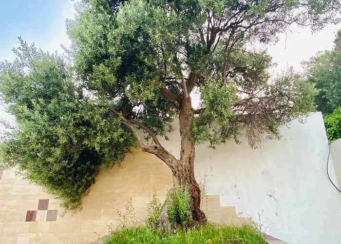 Hotel Alacati Barbarossa 3*