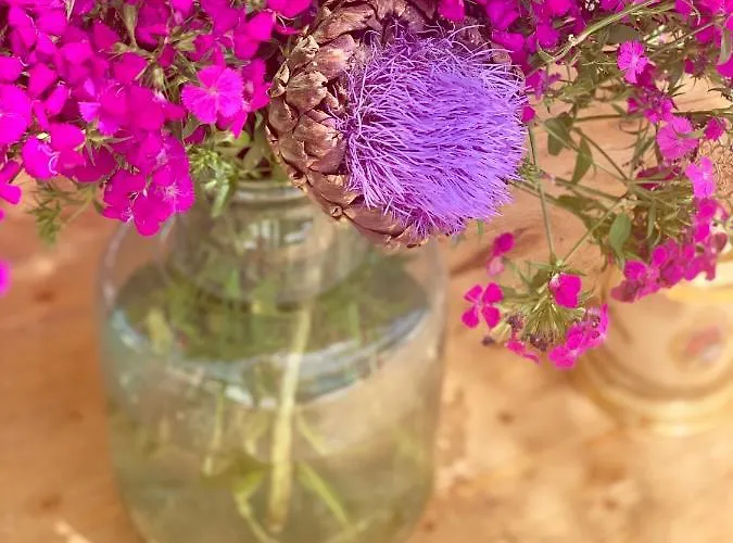 Ξενοδοχείο Alacati Barbarossa Çeşme