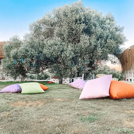 Alacati Barbarossa Ξενοδοχείο 3*