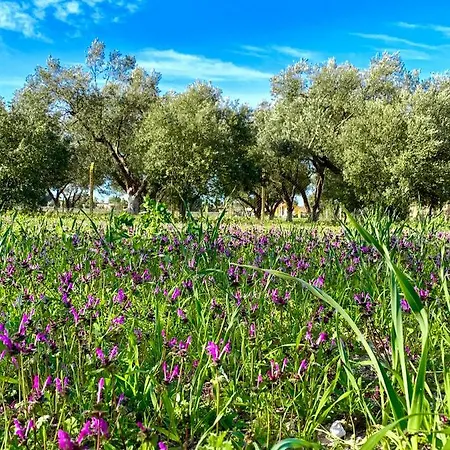 Alacati Barbarossa Cesme
