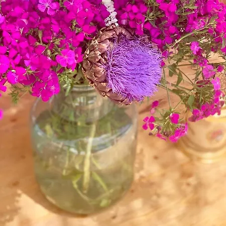 Hotel Alacati Barbarossa Cesme