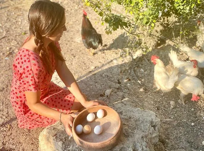 فندق Alacati Barbarossa